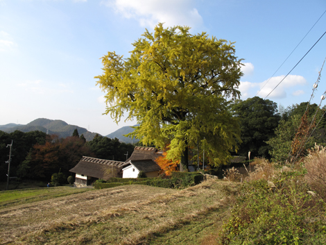 20131124hike (440)